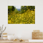 Geel bloemveldPoster Poster (Keuken)