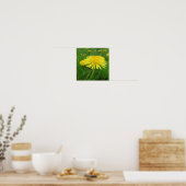 geel, boterbloem, plant, paardenbloem, weide, poster (Keuken)