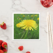 geel, boterbloem, plant, paardenbloem, weide, servet (Insitu)