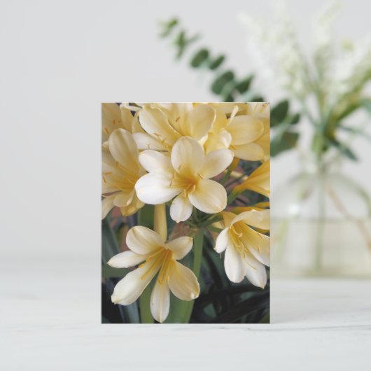 GEEL BRIEFKAART (Staand voorkant)