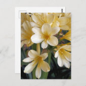 GEEL BRIEFKAART (Voorkant / Achterkant)