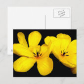 Geel Briefkaart (Voorkant / Achterkant)