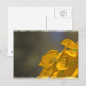 Geel Briefkaart (Voorkant / Achterkant)