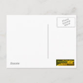 Geel Briefkaart (Achterkant)