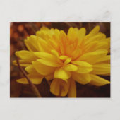 Geel Briefkaart (Voorkant)