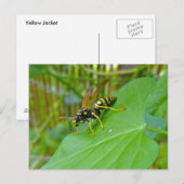 Geel Briefkaart (Voorkant / Achterkant)