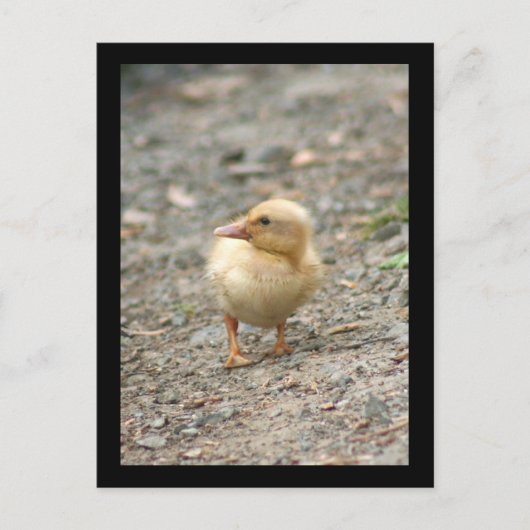 Geel briefkaart (Voorkant)