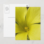 Geel Briefkaart (Voorkant / Achterkant)