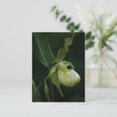 Geel Briefkaart (Staand voorkant)