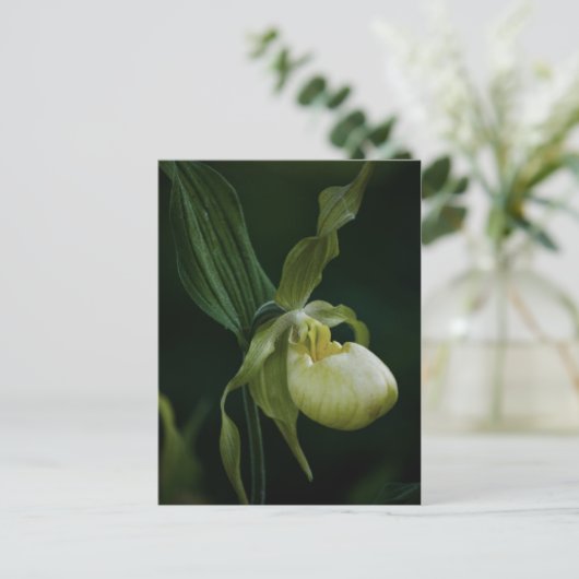 Geel Briefkaart (Staand voorkant)