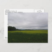 geel briefkaart (Voorkant / Achterkant)