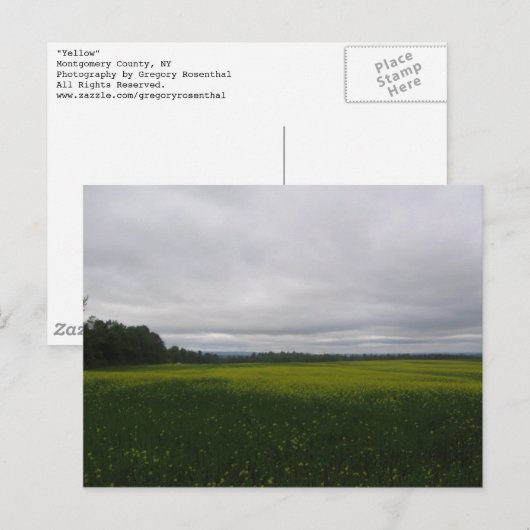 geel briefkaart (Voorkant / Achterkant)