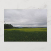 geel briefkaart (Voorkant)