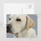 Geel Briefkaart (Voorkant / Achterkant)