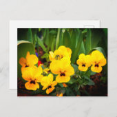 Geel Briefkaart #1 (Voorkant / Achterkant)