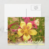 Geel briefkaart van de columbinebloem (Voorkant / Achterkant)
