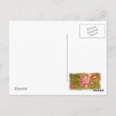 Geel briefkaart van de columbinebloem (Achterkant)