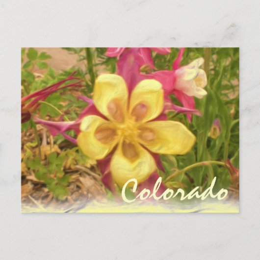 Geel briefkaart van de columbinebloem (Voorkant)