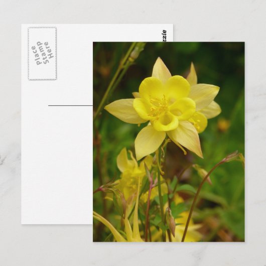 Geel Briefkaart van de Kolomventilator (Voorkant / Achterkant)