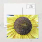 Geel Briefkaart zonnebloem (Voorkant / Achterkant)