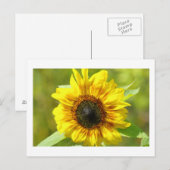 Geel Briefkaart zonnebloem (Voorkant / Achterkant)