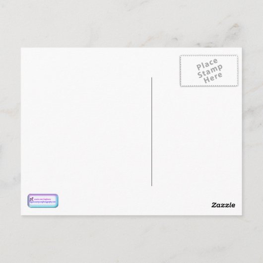 Geel Briefkaart zonnebloem (Achterkant)