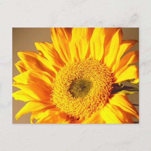 Geel Briefkaart zonnebloem (Voorkant)