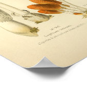  Geel-bruine paddenstoelen Kunst print Frans (Hoek)