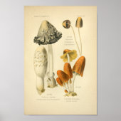  Geel-bruine paddenstoelen Kunst print Frans (Voorkant)