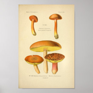  Geel-bruine paddenstoelen Kunst print Frans