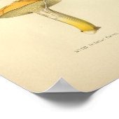  Geel-bruine paddenstoelen Kunst print Frans (Hoek)