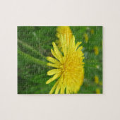 geel, buttercup, plant, andelion, weide, legpuzzel (Horizontaal)