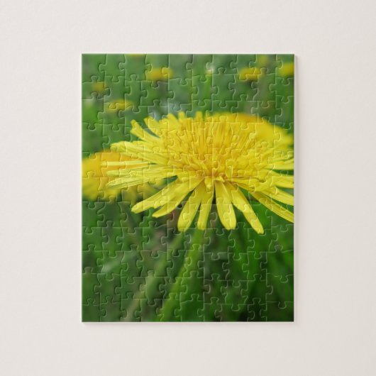 geel, buttercup, plant, andelion, weide, legpuzzel (Verticaal)