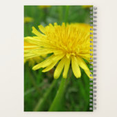 geel, buttercup, plant, andelion, weide, notitieboek (Achterkant)
