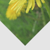 geel, buttercup, plant, andelion, weide, tissuepapier (Detail)