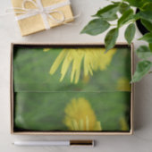 geel, buttercup, plant, andelion, weide, tissuepapier (Geschenk)