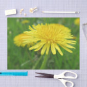 geel, buttercup, plant, andelion, weide, tissuepapier (Craft)