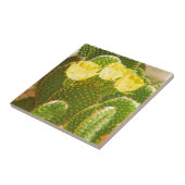 GEEL CACTUS-STROMEN TEGELTJE (Zijkant)