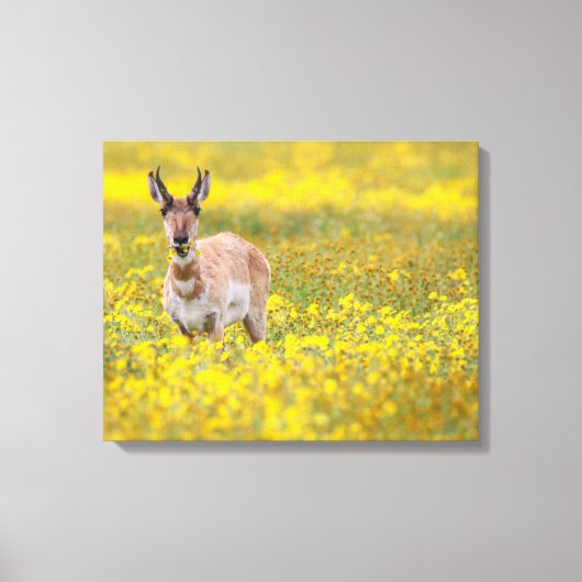 Geel Canvas Afdruk (Voorkant)