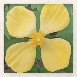 Geel Celandine Poppy Floral Glazen Onderzetter