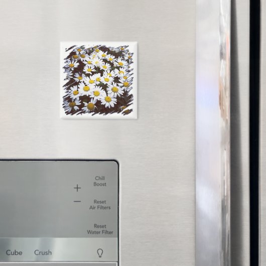 Geel Centrum Witte Shasta Daisies Foto Magneet (Insitu (Koelkast))