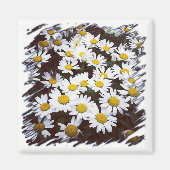 Geel Centrum Witte Shasta Daisies Foto Magneet (Voorkant)
