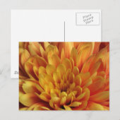 Geel chrysanthemum briefkaart (Voorkant / Achterkant)
