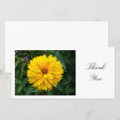 Geel chrysanthemum - Dank u wel Bedankkaart (Voorkant / Achterkant)