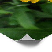 Geel chrysanthemum poster (Hoek)