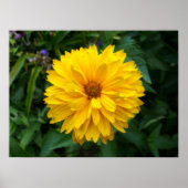 Geel chrysanthemum poster (Voorkant)