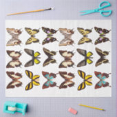 Geel Collectie van de Botervlieontbinding Tissuepapier (Craft)