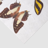 Geel Collectie van de Botervlieontbinding Tissuepapier (Detail)