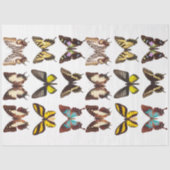 Geel Collectie van de Botervlieontbinding Tissuepapier (Voorkant)