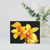 Geel Cymbidium Orchid Briefkaart (Staand voorkant)